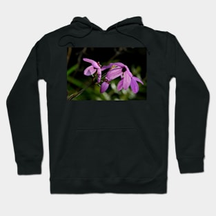 Black Eyed Susan Hoodie